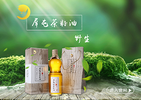 深圳前海犀屯投資控股股份有限公司